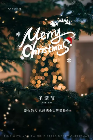 圣诞快乐Merry Christmas