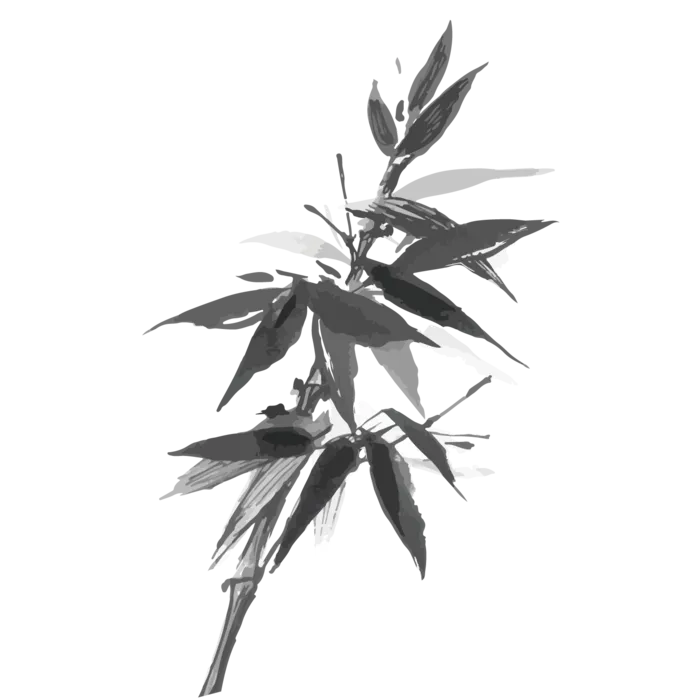 竹子水墨画中国风国画墨水书法竹子画