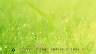 自然风光 高清壁纸 (183)