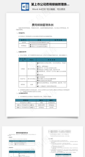 某上市公司费用报销管理条例word文档预览图