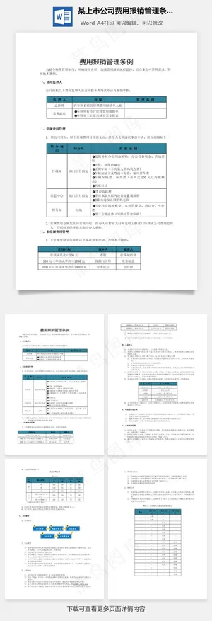 某上市公司费用报销管理条例word文档预览图