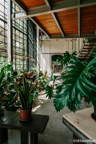 阳光洒落的屋子