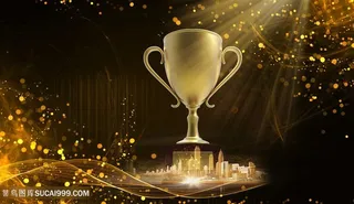 荣誉时刻黑金城市奖杯