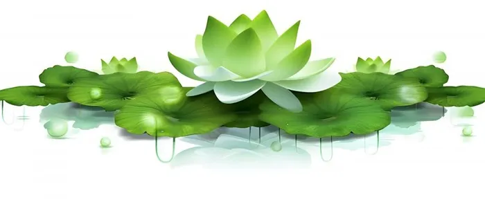水面荷叶背景