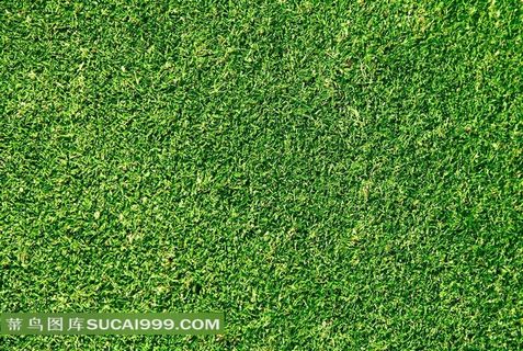 绿色草地图片素材