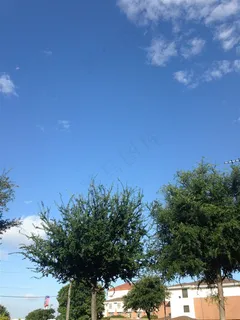 蓝天白云绿树红屋美国