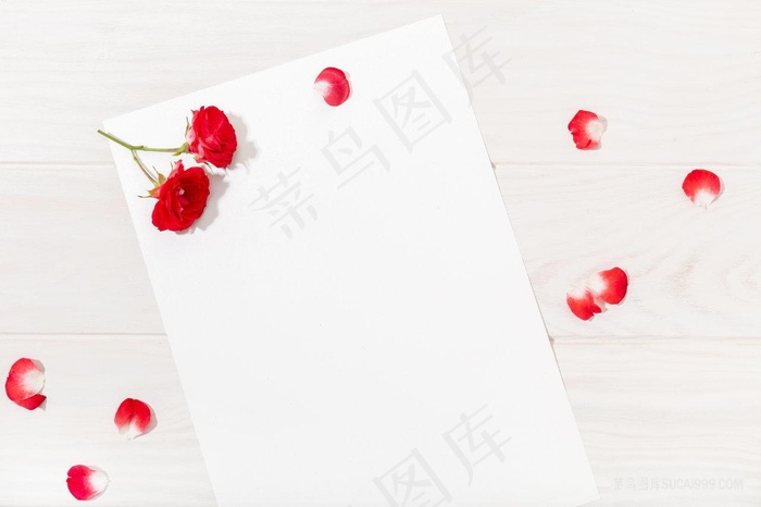 唯美白色信纸上的花瓣