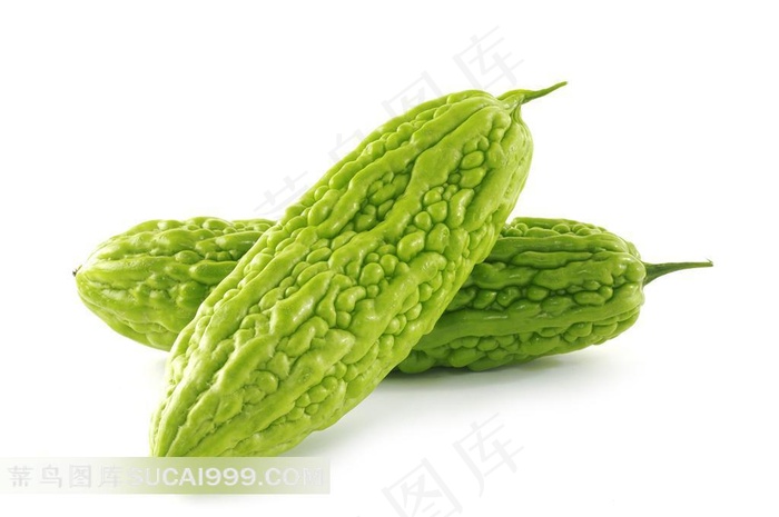 苦瓜图片