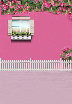 高清背景大图粉墙花朵