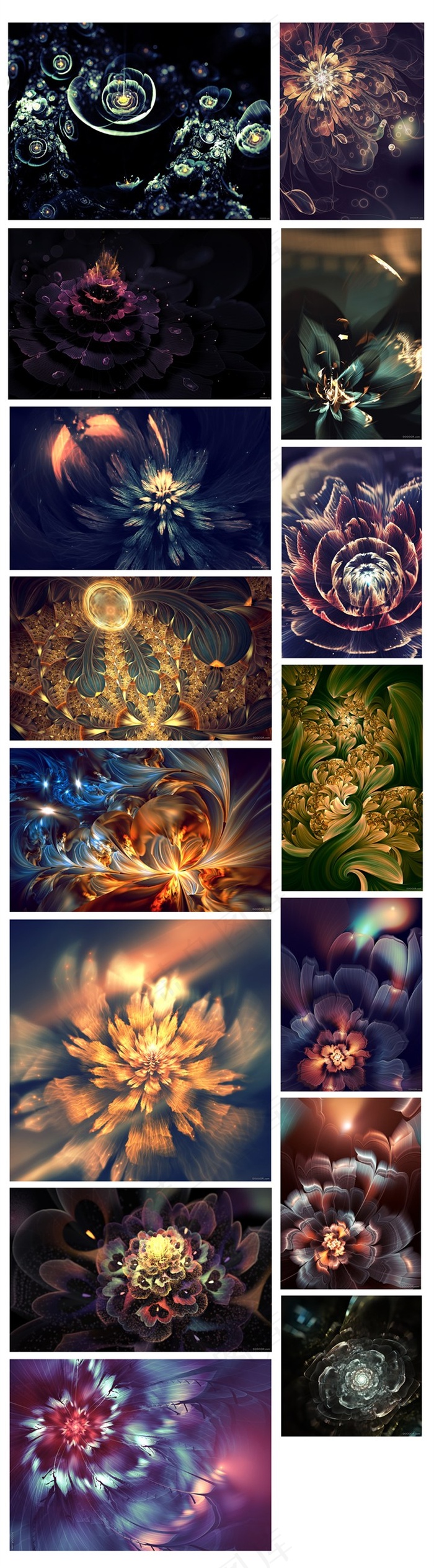 绝美光幻之花高清