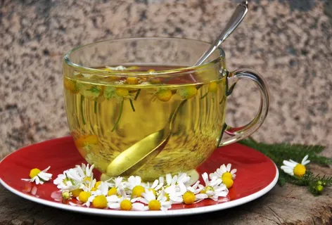 甘菊花茶图片 甘菊花茶图片