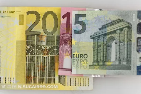 2015年的经济规划 2015年的经济规划