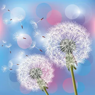 欢迎春天到花开风景