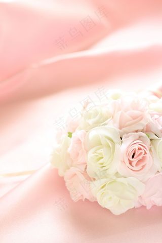 高清粉红玫瑰图片下载