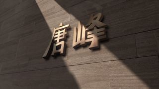 展示样机