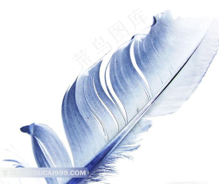 蓝色羽毛素材