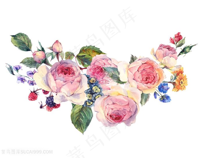 水彩美丽花卉图片