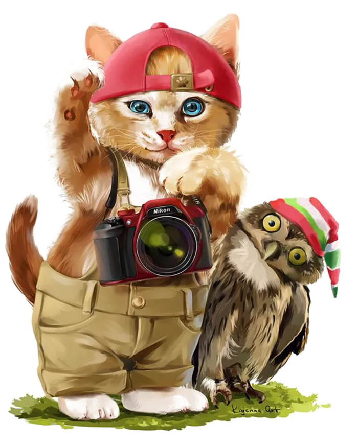 猫咪装扮卡通