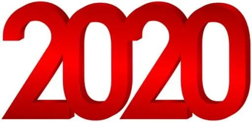 2020 年 PNG免抠(600x292)