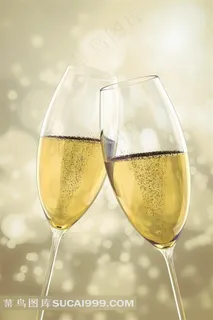 节日庆祝香槟酒 节日庆祝香槟酒