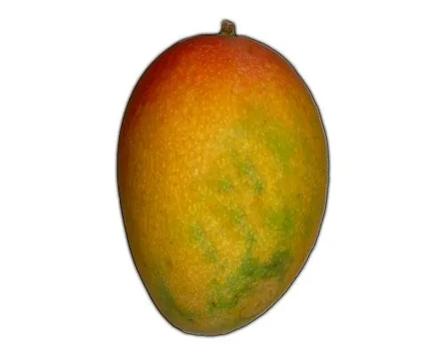 芒果 PNG免抠(500x400)