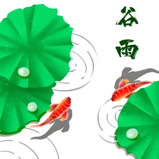 二十四节气谷雨荷花场景