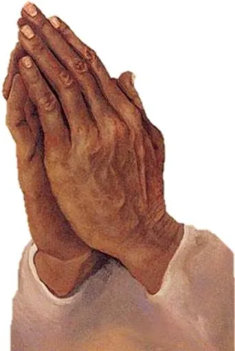 祈祷之手 PNG免抠(520x778)