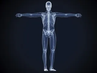 黑色背景人体结构图