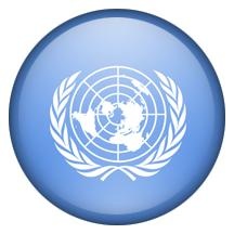 联合国标志 PNG, 联合国标志 PNG免抠(216x216)
