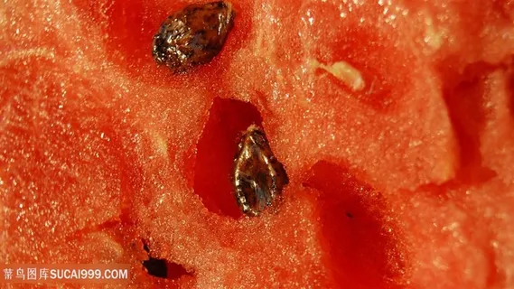 唯美时尚水彩壁纸