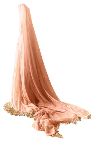 欧式优雅精致复古风格油画质感色彩手绘花卉植物树叶插画PNG素材2