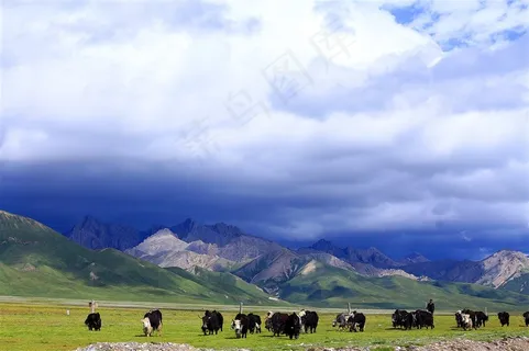 青海景致图片 青海景致图片