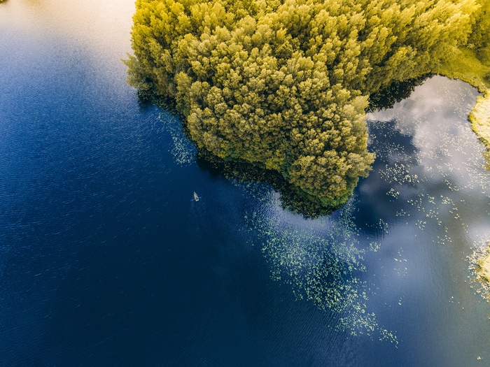 唯美高清海边森林树林