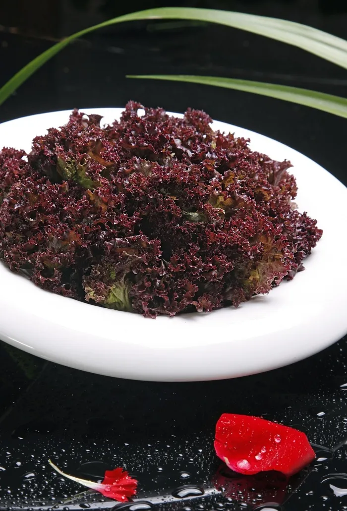 紫生菜火锅配菜美食设计素材
