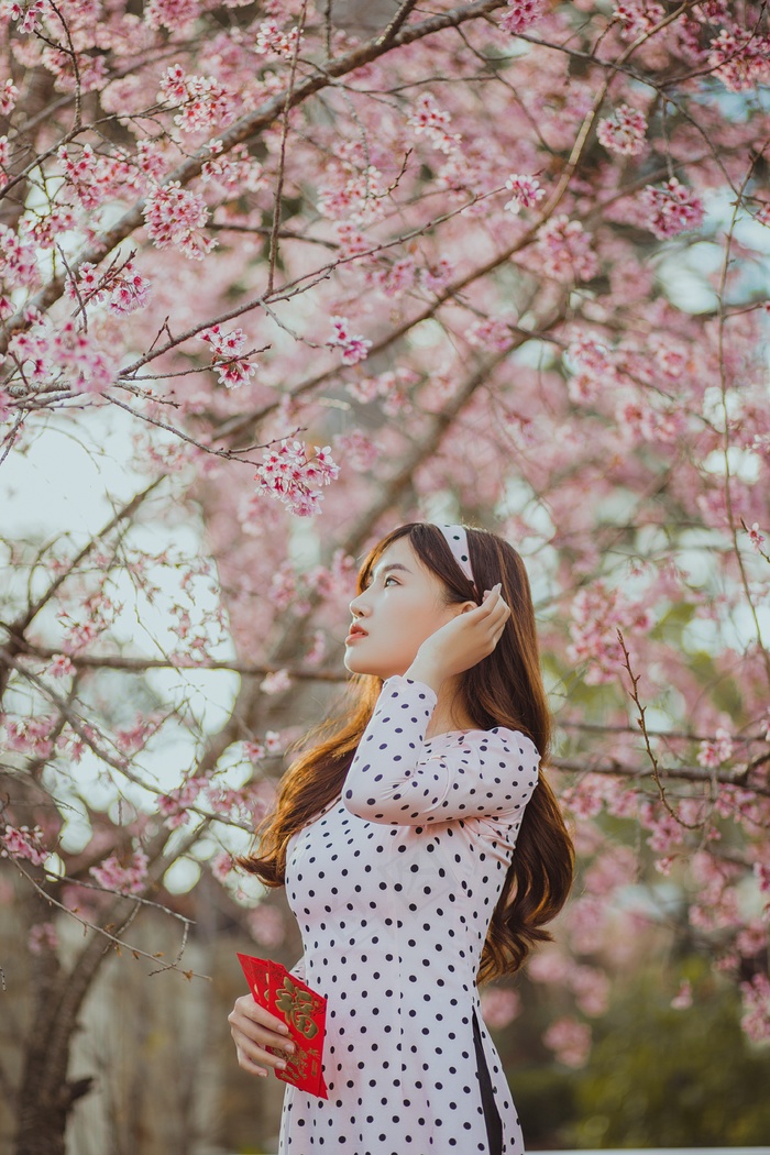 越南波点长裙美女图片
