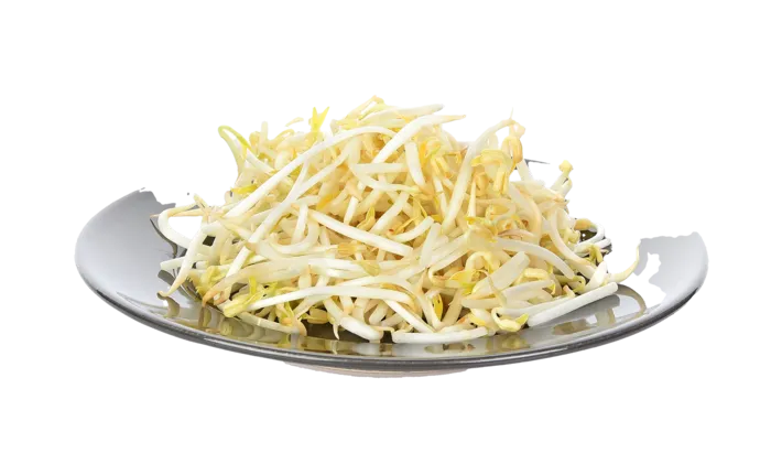 绿豆芽 (3)超市商品白底图免抠实物摄影png格式图片透明底