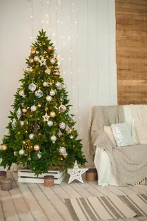 圣诞节圣诞壁炉圣诞树室内场景(81)