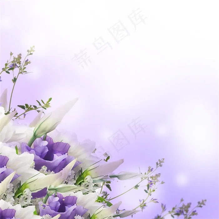 唯美紫色花朵背景