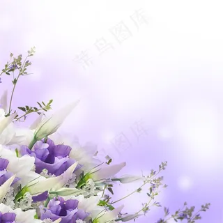 唯美紫色花朵背景 唯美紫色花朵背景