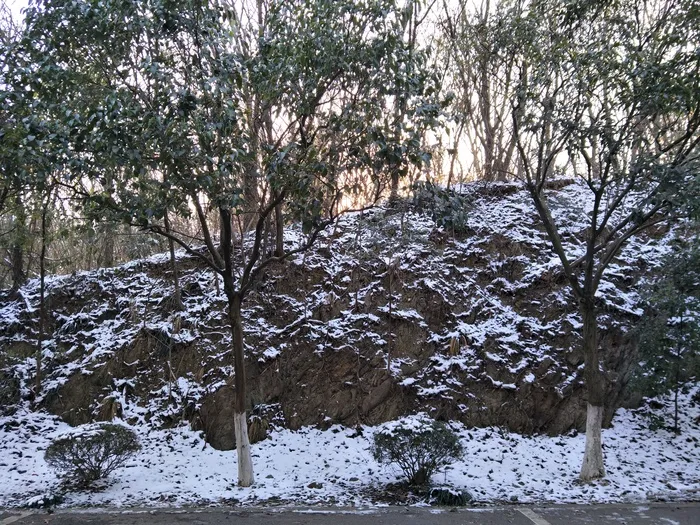 雪后的景色