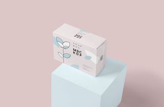 设计盒子样品psd素材