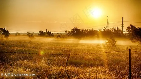 黄昏草地风景画壁纸 黄昏草地风景画壁纸