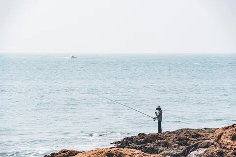 海边海钓钓鱼 海边海钓钓鱼