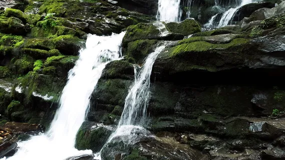 春天山谷瀑布青苔图片 春天山谷瀑布青苔图片