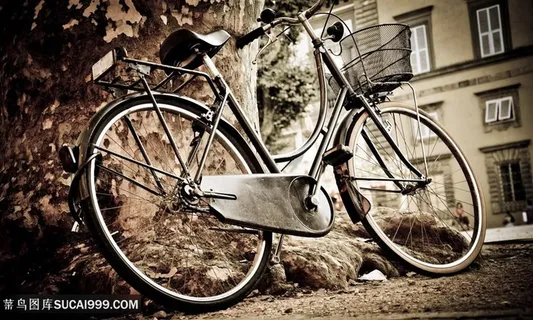 自行车唯美风景画背景创意图 自行车唯美风景画背景创意图