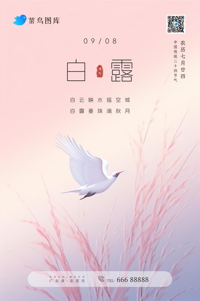 白露粉色渐变意境创意节气海报(2362x3543)psd模版下载