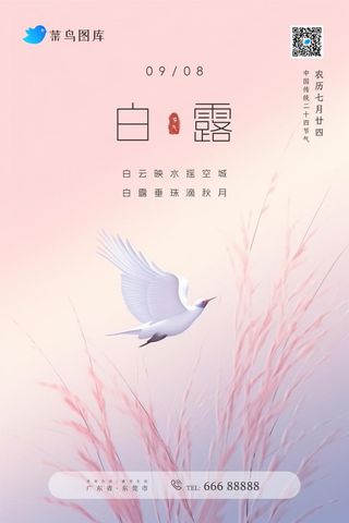 白露粉色渐变意境创意节气海报