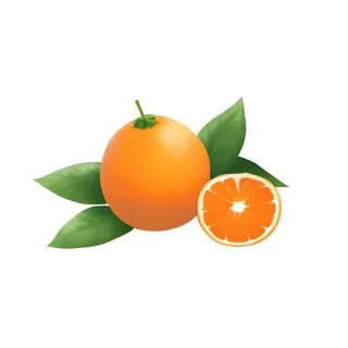 橘子橙子水果免抠