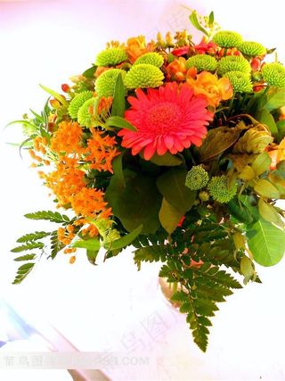 插花艺术太阳菊绿菊