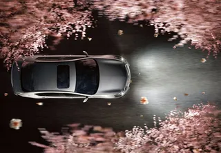 英菲尼迪浪漫樱花俯视夜景图